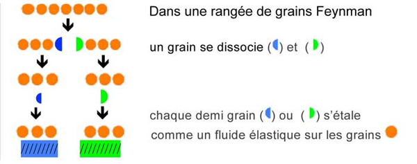 Sch�ma d�sint�gration grain de mati�re